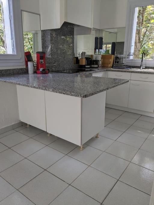 Maison Spacieuse Et Lumineuse 4 Personnes Lavilledieu  Kültér fotó