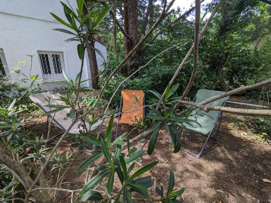 Maison Spacieuse Et Lumineuse 4 Personnes Lavilledieu  Kültér fotó